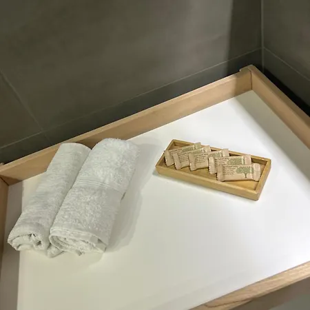 Station House شقة